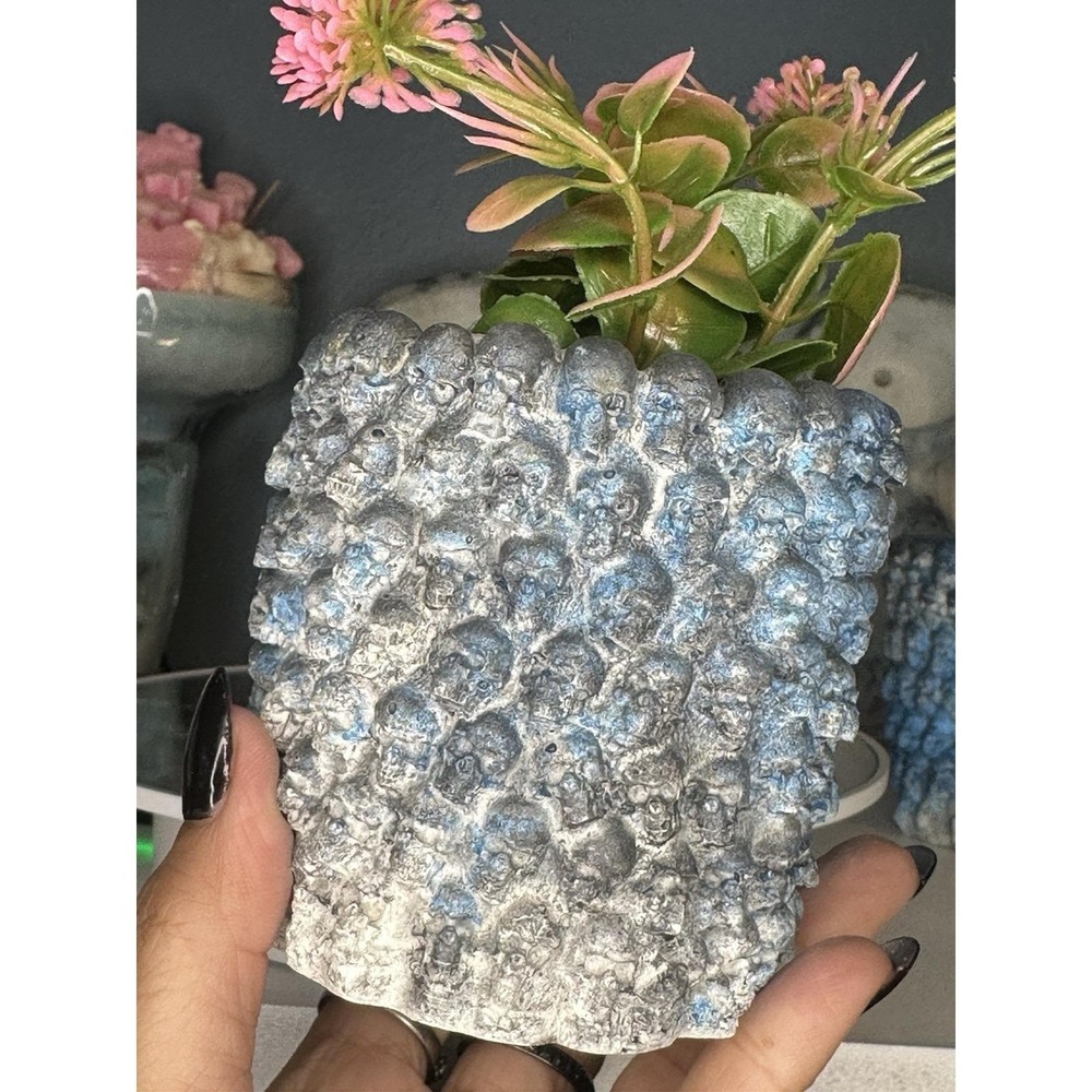 Skull Concrete Plant Pot  Blue Black  Handmade Cement Succulent Planter - Picture 9 of 9